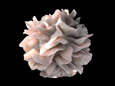  محققان بطور مصنوعی سلول های ایمنی برای ایجاد واکسن سلول های سرطانی تولید کرده اند